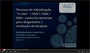videos_site